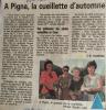 Pigna1